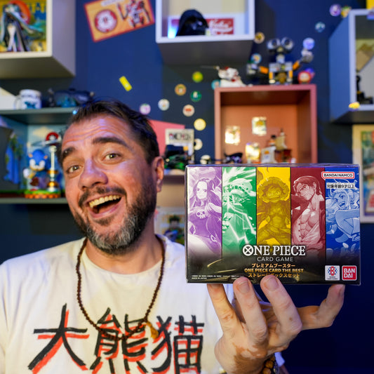 Storage Box One Piece PRB-01 Japonais – Luc enthousiaste la montrant